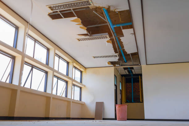  Bainbridge Island, WA Water damage restoration Pros