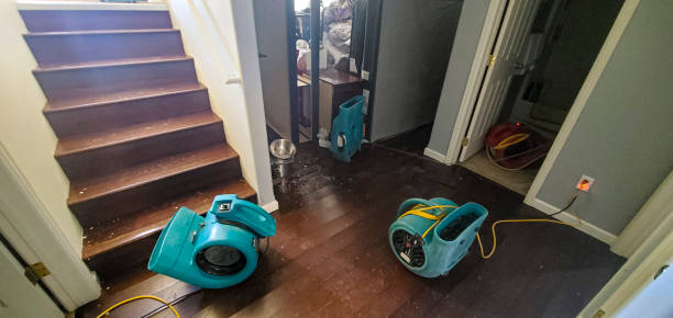 Water damage restoration insurance claims in Bainbridge Island, WA