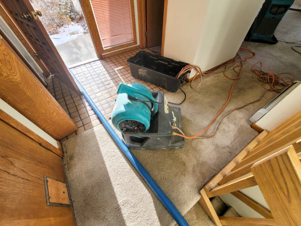 Best Flood restoration services  in Bainbridge Island, WA