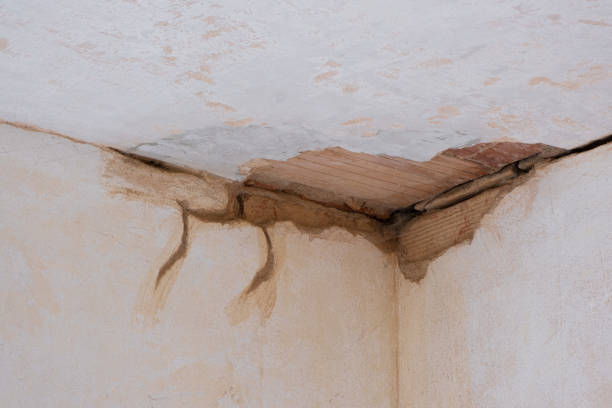 Best Water damage restoration near me  in Bainbridge Island, WA