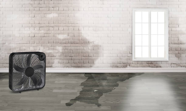 Trusted Bainbridge Island, WA Water damage restoration Experts