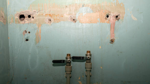 Water damage restoration experts in Bainbridge Island, WA