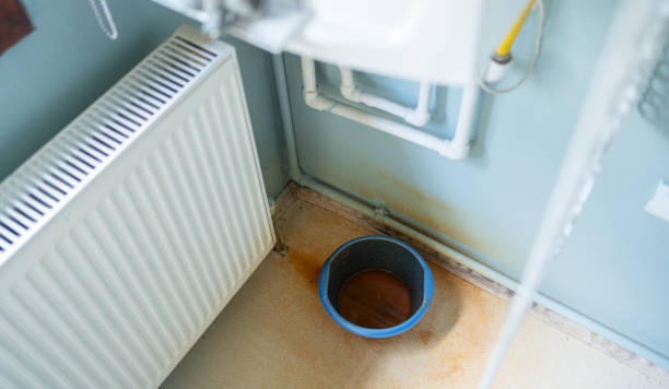 Best Water damage restoration near me  in Bainbridge Island, WA