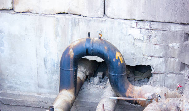 Best Carpet water damage restoration  in Bainbridge Island, WA